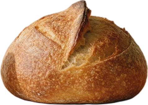 A country sourdough loaf